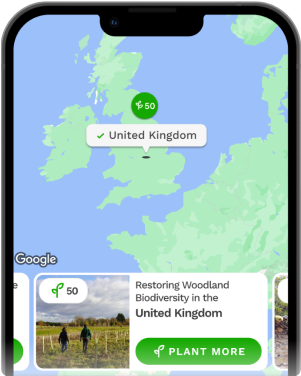 Choose where to plant trees