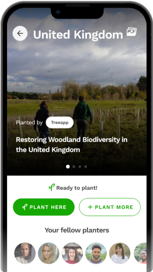 Get tree planting updates