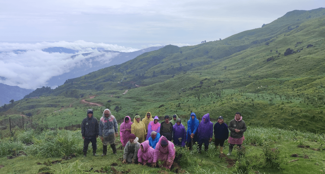 Our planting partners in Tumling, Nepal