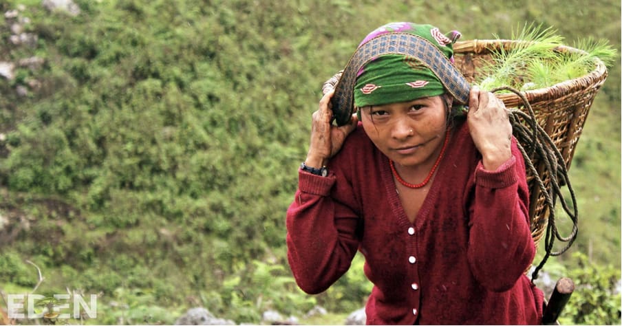 All Treeapp’s projects in Nepal are led by women to narrow the gender employment gap