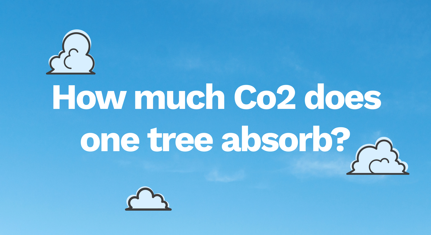 How Much CO2 Does One Tree Absorb