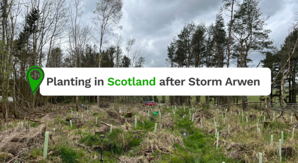 Our Journey to Restore Scotland's Woodlands